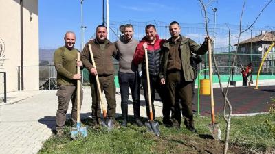 Депутатът Стефан Апостолов сади дръвчета в село Полето