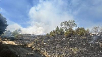 Пожар заплашва самоковско село