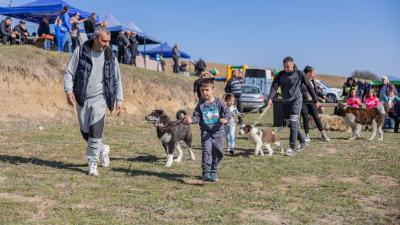 Кучето Шериф от село Добърско бе отличен с приза  шампион на изложбата  в Разлог