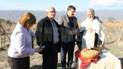 Боговете на виното слязоха в Илинденци и зарязаха лозята-СНИМКИ