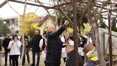 С водосвет и зарязване на лозята в Черниче бе отбелязан Трифон Зарезан