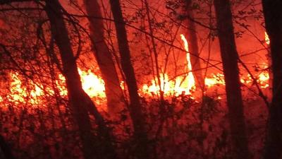 80 души гасят голям пожар над Илинденци