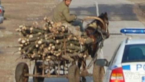 Роми нападнаха горски служител край Микрево