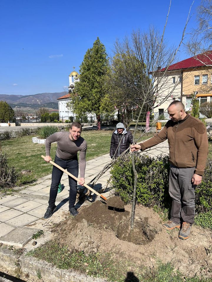 Депутатът Стефан Апостолов сади дръвчета в село Полето