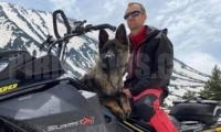 Спасители в Банско искат специален автомобил за транспортиране на своите кучета