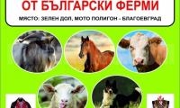 Първото по рода си изложение на животни от български ферми ще се проведе край с. Зелен дол