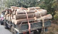 Полицията залови  контрабандист на дърва на пътя между Лещен и Гърмен