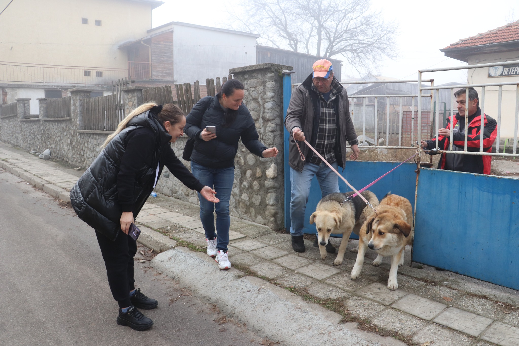 Община Банско с кампания за осиновяване на бездомни кучета