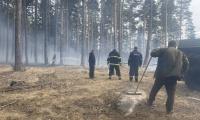 Голям пожар край Сатовча! Служители на  ДЛС Дикчан  се борят с огъня