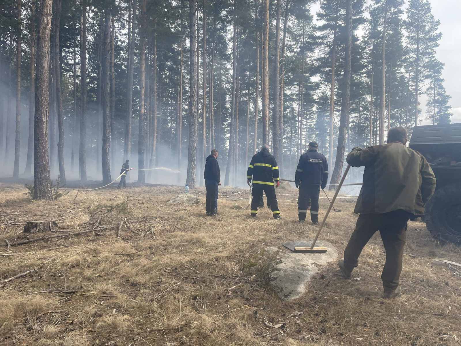 Голям пожар край Сатовча! Служители на  ДЛС Дикчан  се борят с огъня