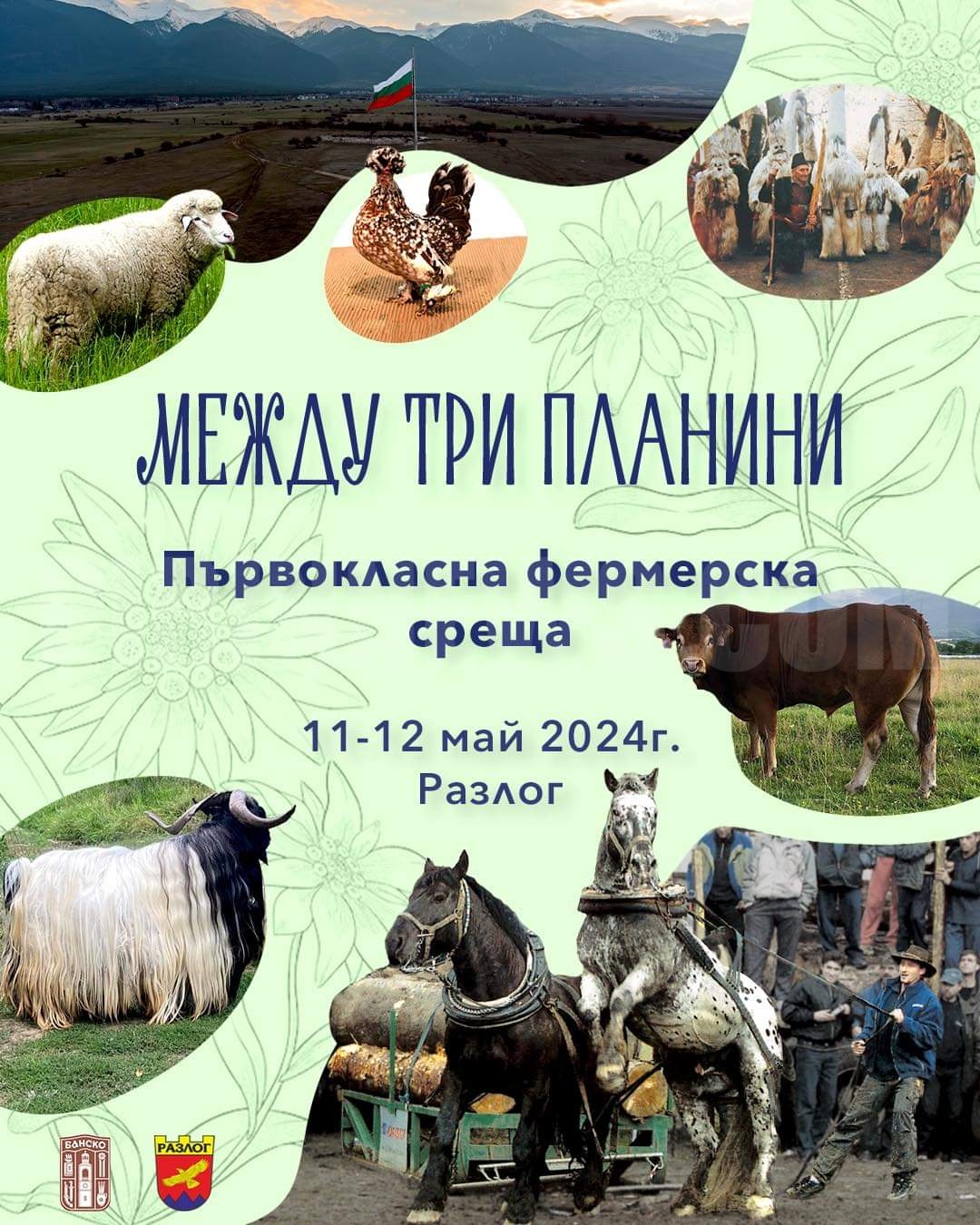 ТРИ ПЛАНИНИ-ПЪРВОКЛАСНА ФЕРМЕРСКА СРЕЩА: Тежковози и животновъдно изложение в Разлог