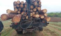 Камион с  дублиран  курс превозвана дървесина задържаха екипи на ЮЗДП