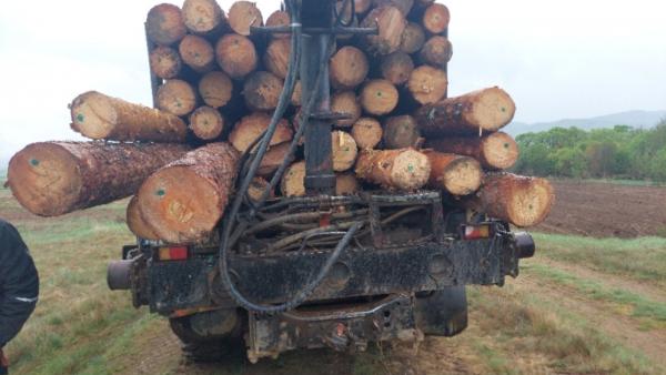 Камион с  дублиран  курс превозвана дървесина задържаха екипи на ЮЗДП