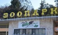 Кметът Байкушев: До три месеца зоопаркът в Благоевград ще има нов ръководител