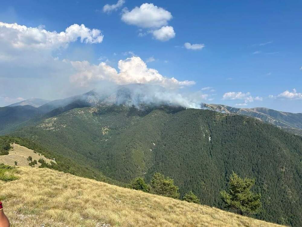 Пожар гори в Гърция, в близост до границата с България