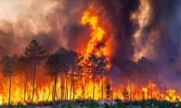 Пожарът, идващ от Гърция към България, продължава да гори