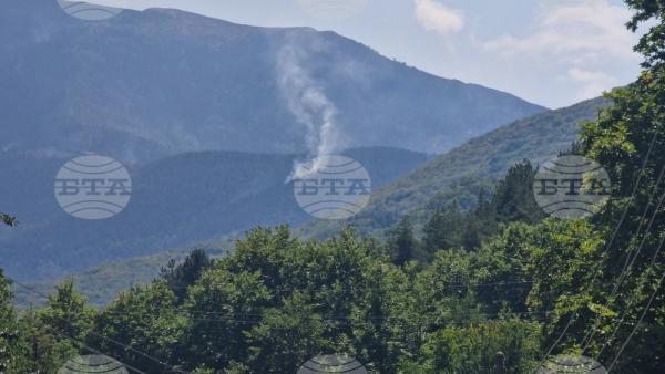 Новото огнище на пожара на българо-гръцката граница в планината Славянка се е разпалило от западния фронт