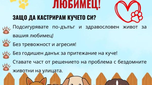 Кампания за безплатна кастрация на дворни кучета в Община Банско