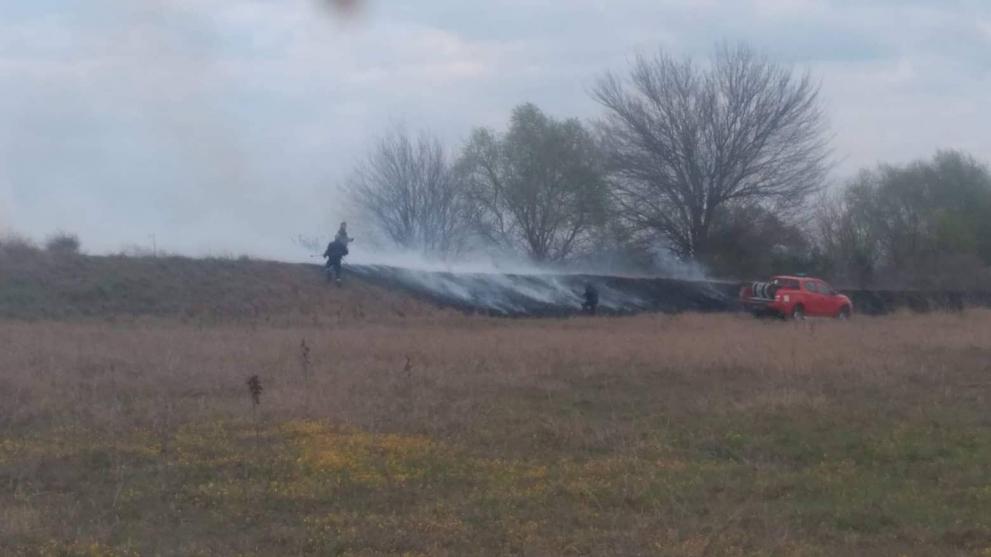 Заради запалени сухи треви ,изгоряха 200 тополи край Микрево