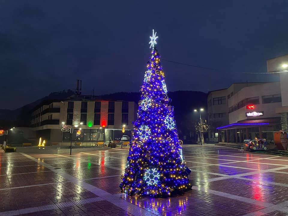 Грейна елхата в Белица