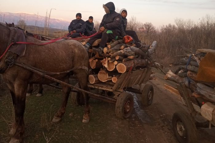 Арестуваха роми с краден дървен материал край Рупите