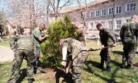 Военни залесиха със 120 фиданки двора на казармата Благоевград