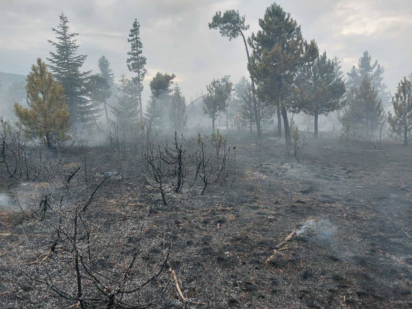 Пожарът в м.Църнако  е овладян