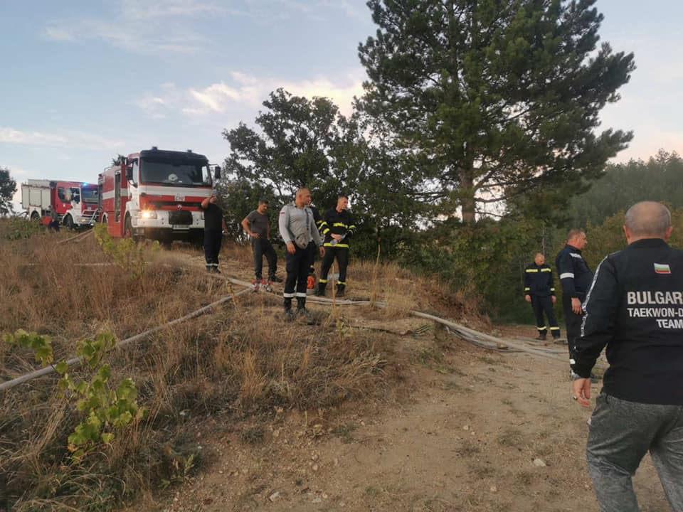 Предотврати се  голям пожар в гората на с.Дъбрава