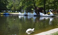 Започва почистване на езерото в парк  Бачиново