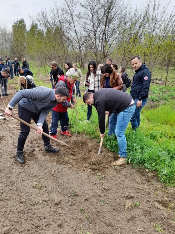 Младежи на ГЕРБ от цялата страна се включиха в инициативата  Да пуснем корени в България”