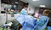 Немски екип медици извърши първата лапароскопска операция на мечка  в Белица