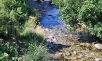 Община Благоевград стартира дейности по почистване на коритото на река Благоевградска Бистрица